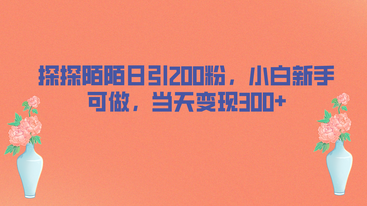 探探陌陌日引200粉，小白新手可做，当天就能变现300+-网创课程-网创项目资源整合平台